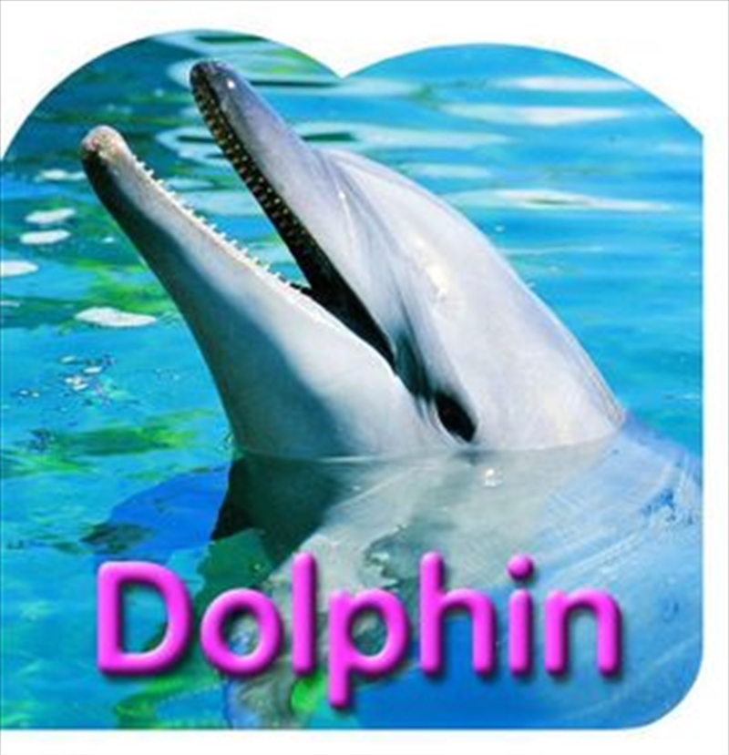 Steve Parish Board Book: Dolphin | Board Book