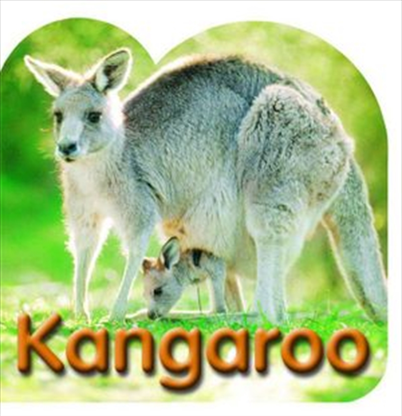 Kangaroo | Board Book