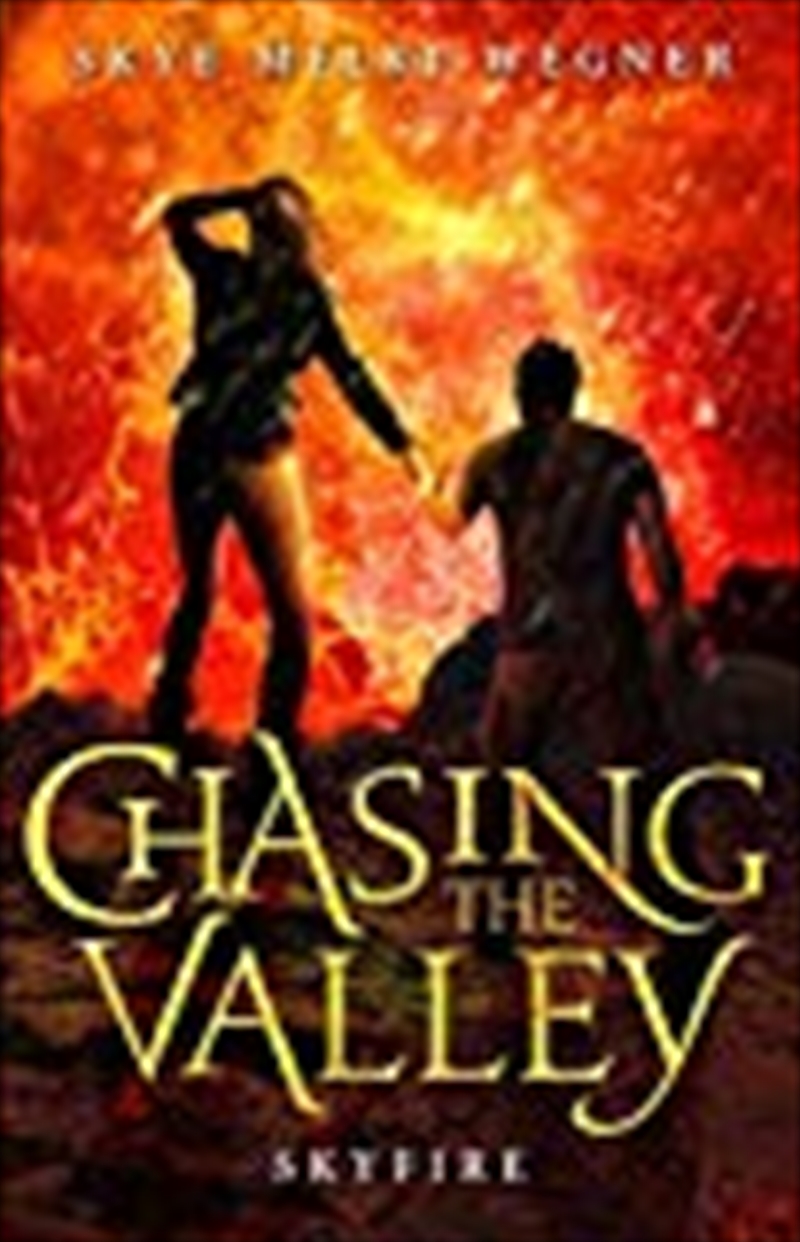 Chasing the Valley 3: Skyfire/Product Detail/Childrens Fiction Books