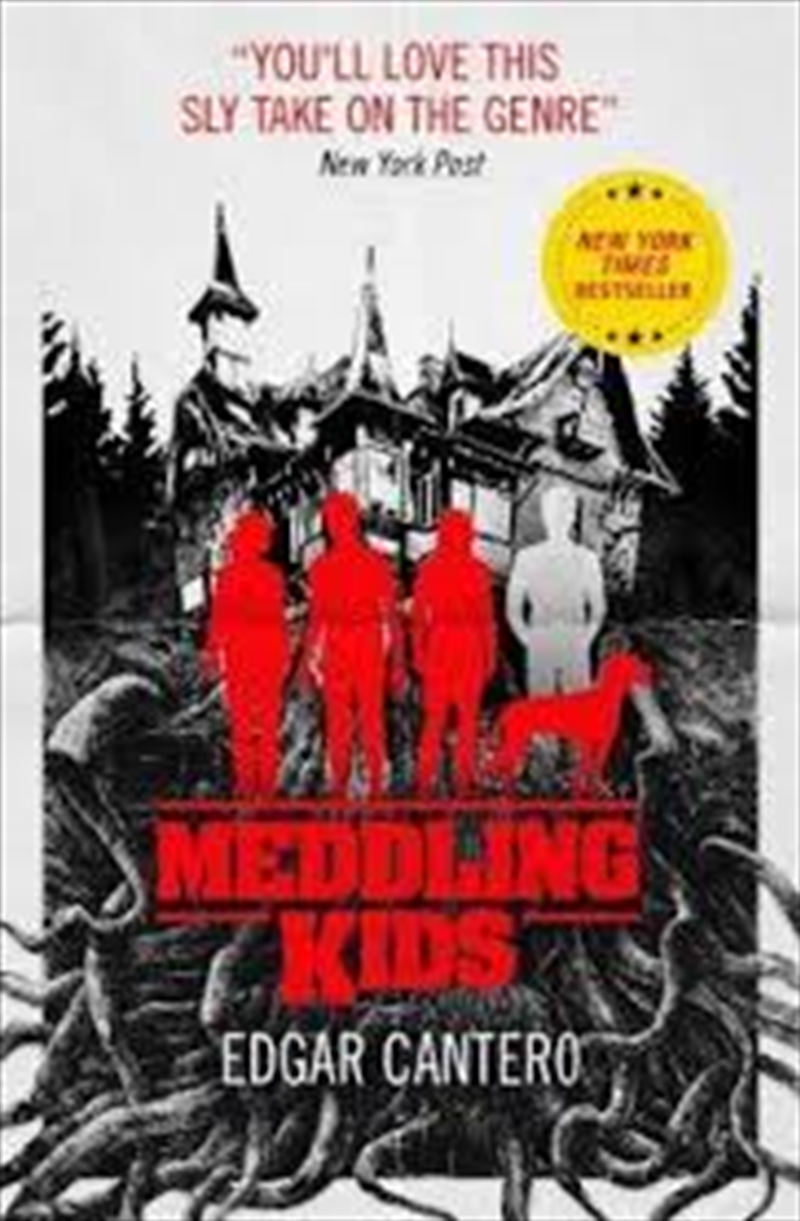 Meddling Kids/Product Detail/Childrens Fiction Books