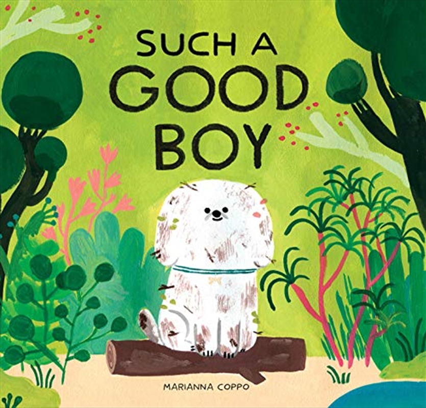 Such A Good Boy/Product Detail/Childrens Fiction Books