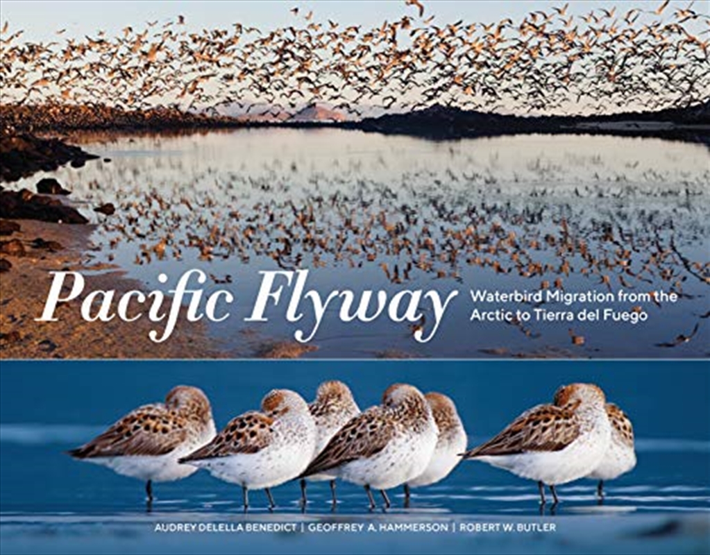 The Pacific Flyway/Product Detail/Reading