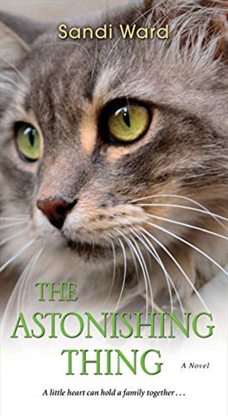 The Astonishing Thing/Product Detail/Reading