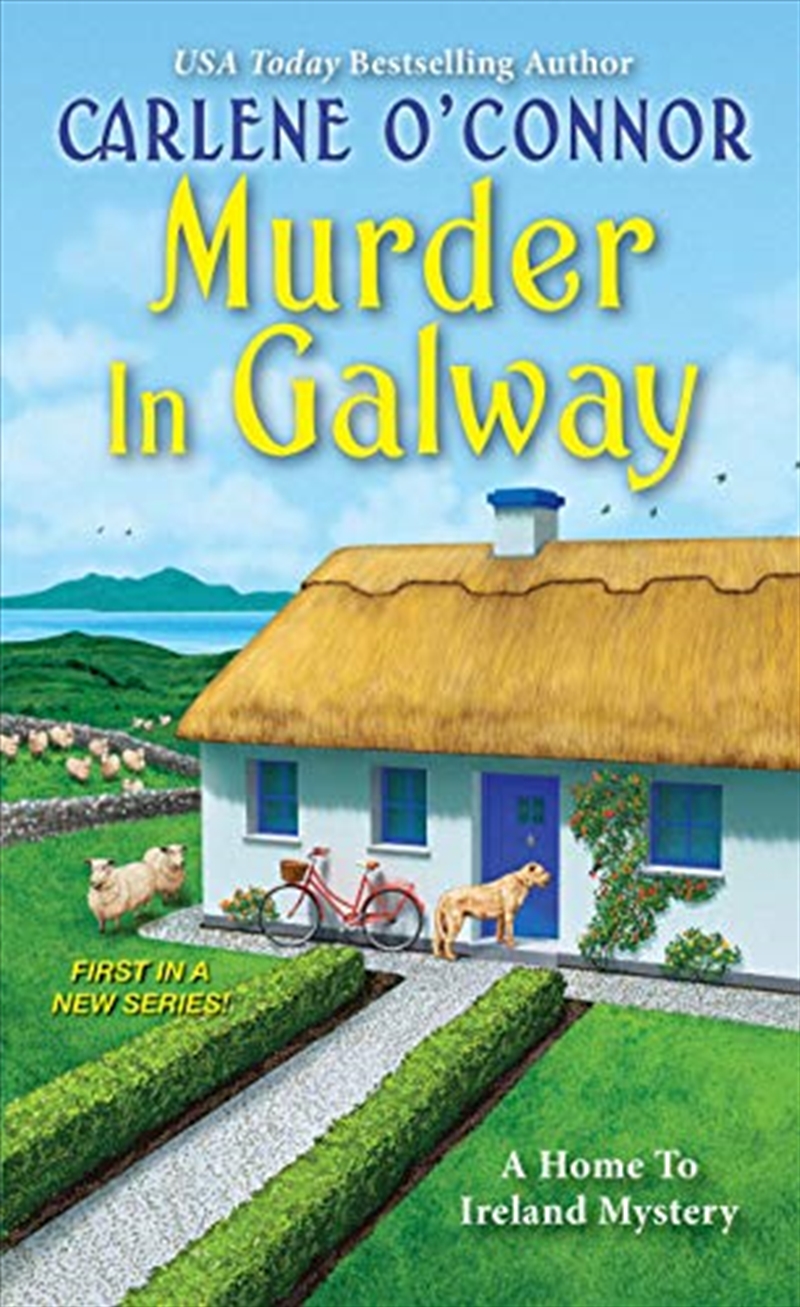 Murder In Galway/Product Detail/Crime & Mystery Fiction