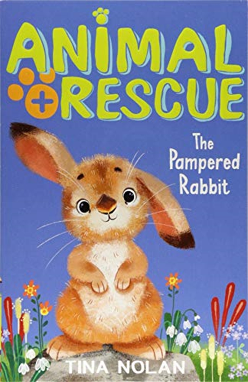 The Pampered Rabbit (animal Rescue)/Product Detail/Children