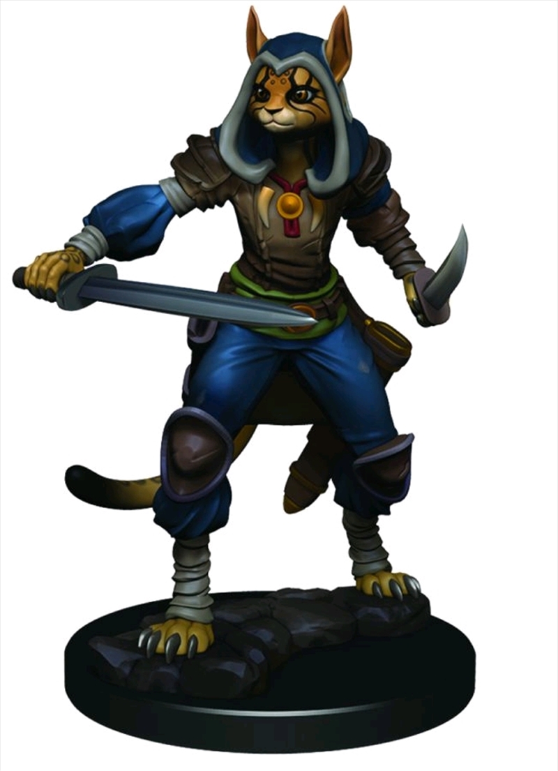 Dungeons & Dragons - Icons of the Realms Female Tabaxi Rogue Premium Miniature/Product Detail/RPG Games