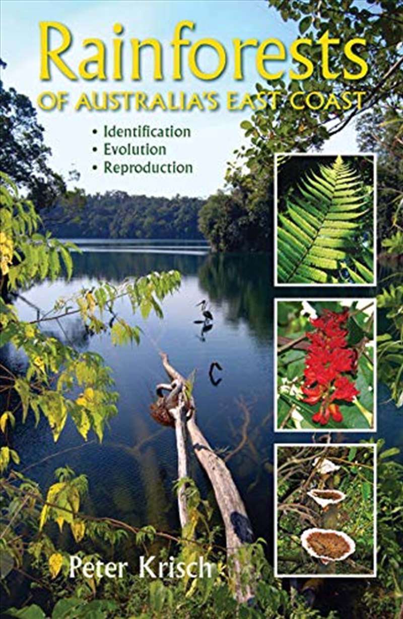 Buy Rainforests of Australia's East Coast by Peter Krisch, Books Sanity