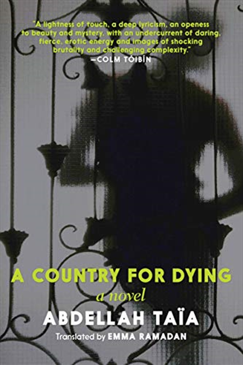 A Country for Dying/Product Detail/General Fiction Books