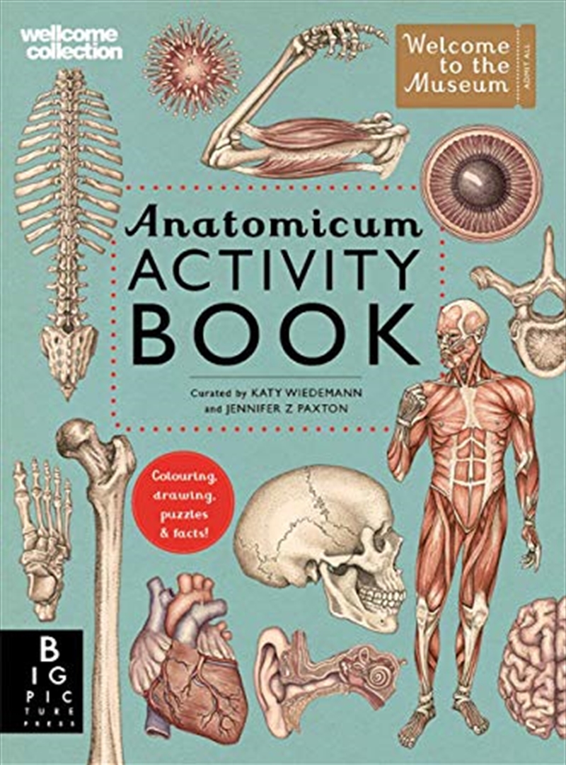 Anatomicum Activity Book/Product Detail/Kids Activity Books