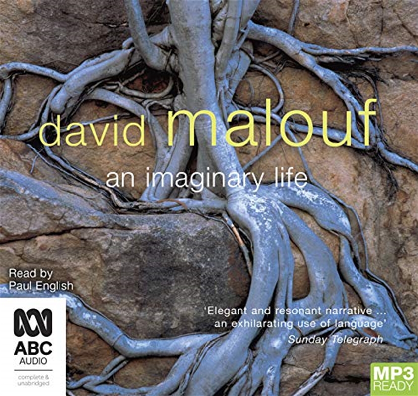 An Imaginary Life/Product Detail/Literature & Plays