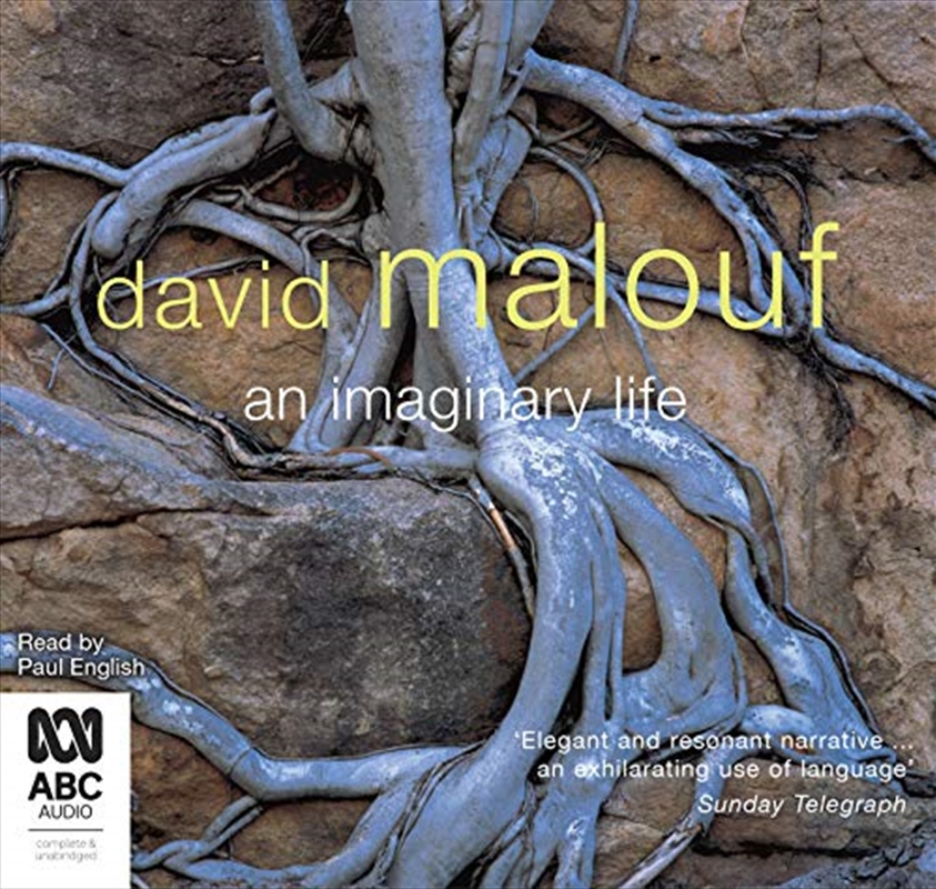 An Imaginary Life/Product Detail/Literature & Plays