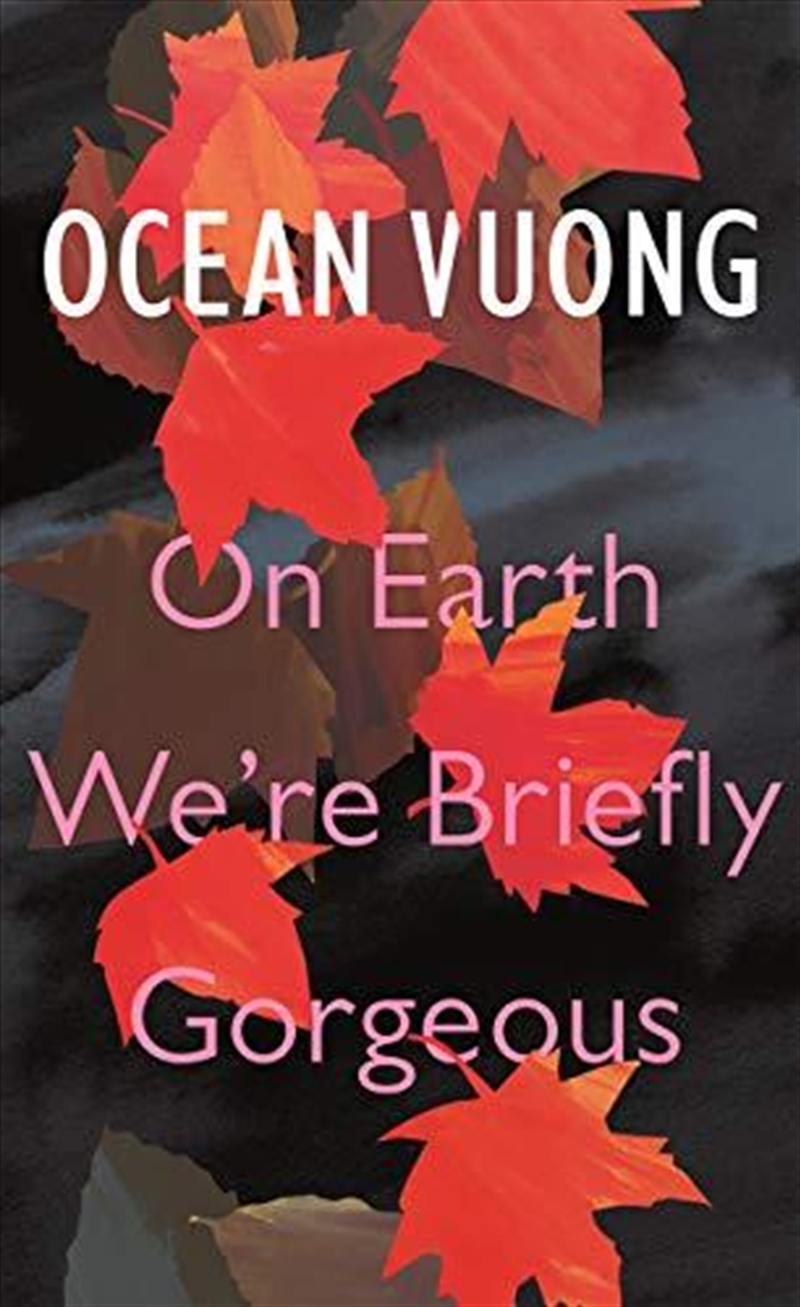 On Earth We're Briefly Gorgeous/Product Detail/General Fiction Books