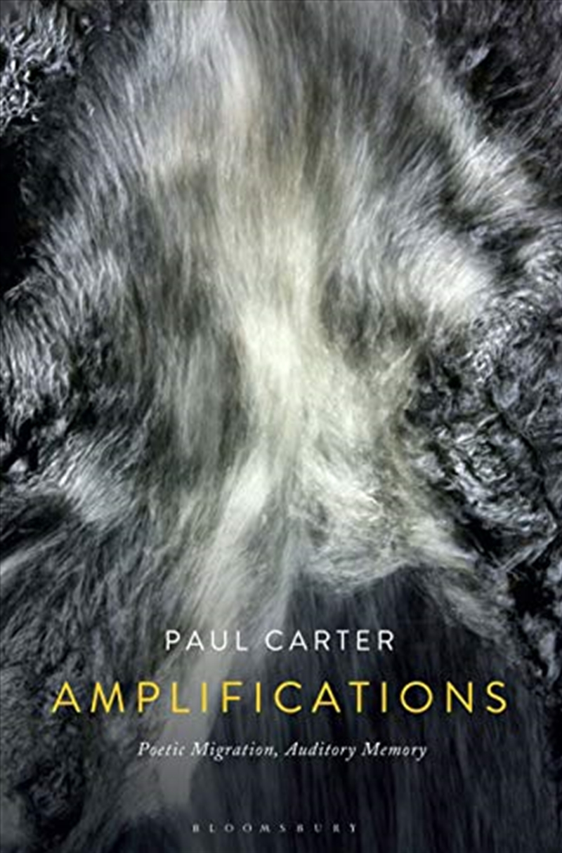 Amplifications: Poetic Migration, Auditory Memory/Product Detail/Arts & Entertainment