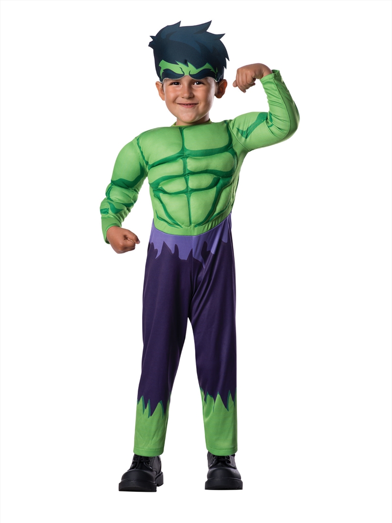 Hulk Costume: Size S/Product Detail/Costumes