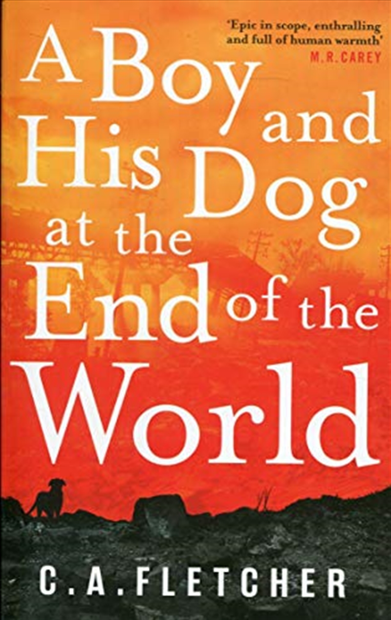 A Boy And His Dog At The End Of The World/Product Detail/Science Fiction Books