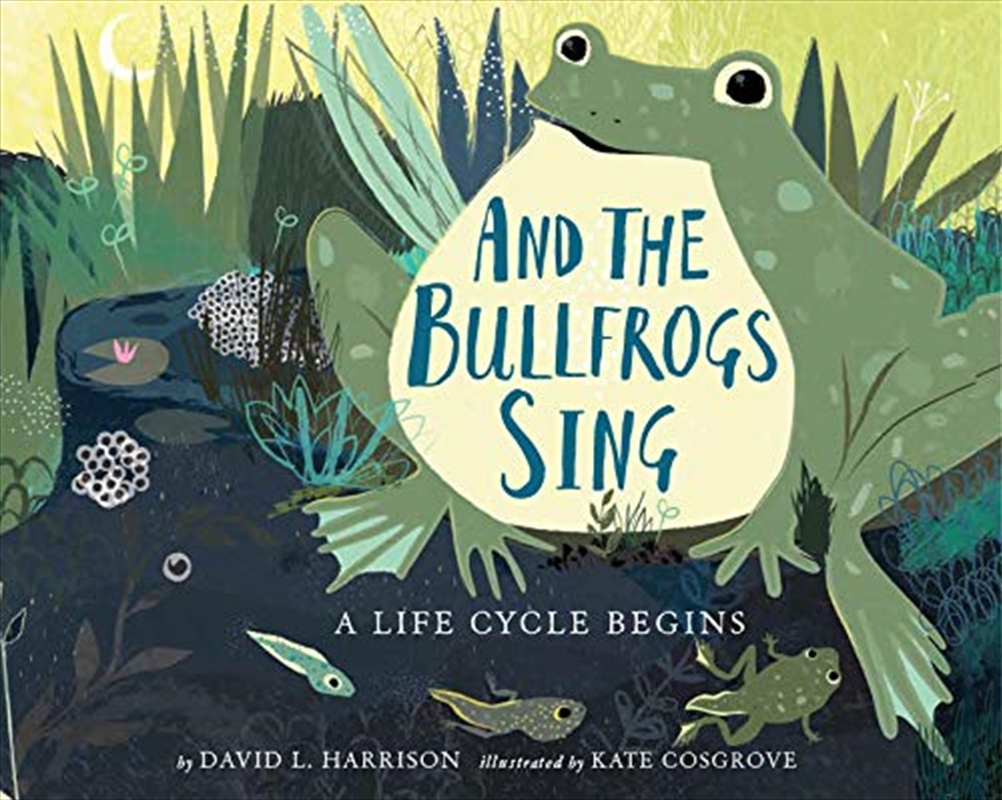 And the Bullfrogs Sing/Product Detail/Childrens