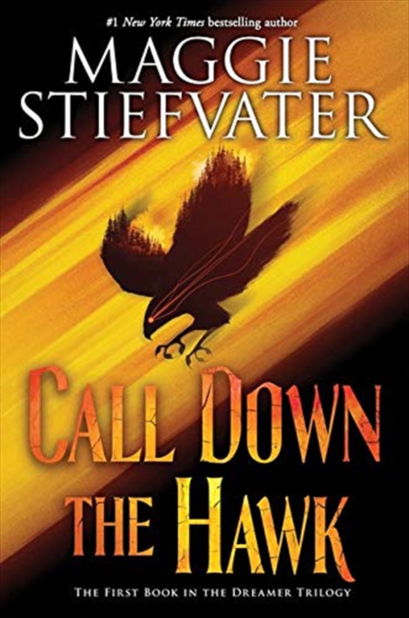 Call Down The Hawk/Product Detail/Childrens Fiction Books