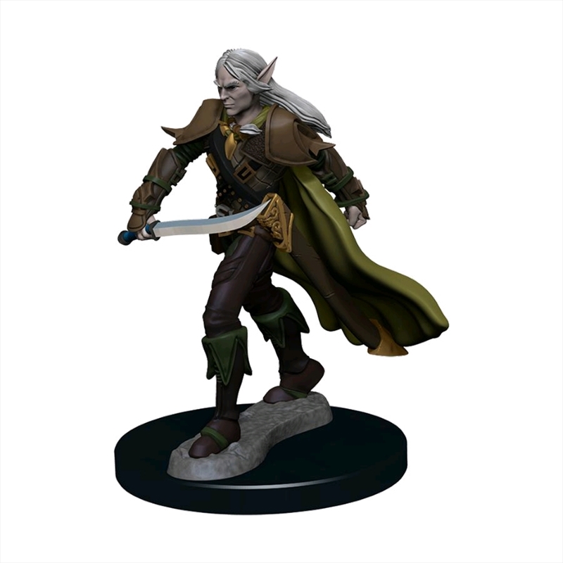 Pathfinder - Elf Fighter Male Premium Figure/Product Detail/RPG Games