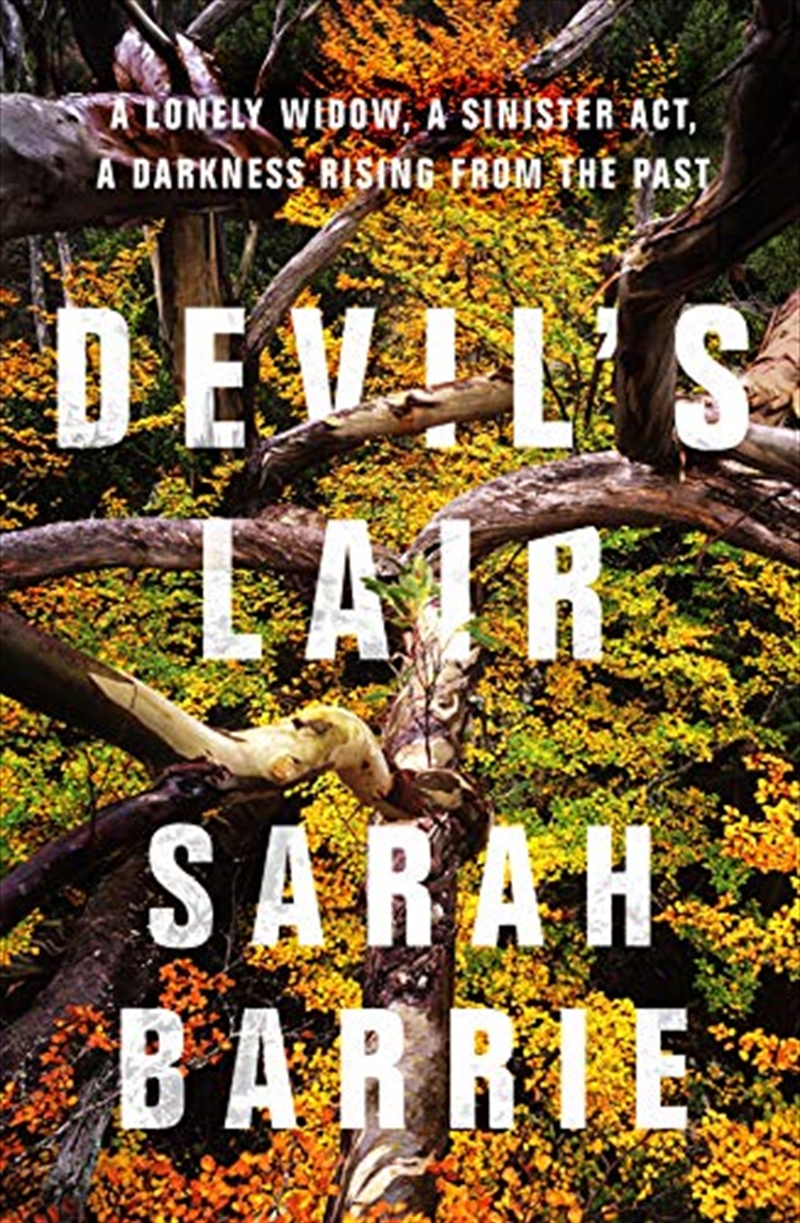 Devil's Lair/Product Detail/General Fiction Books