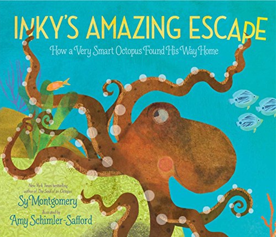 Inky's Amazing Escape/Product Detail/Children
