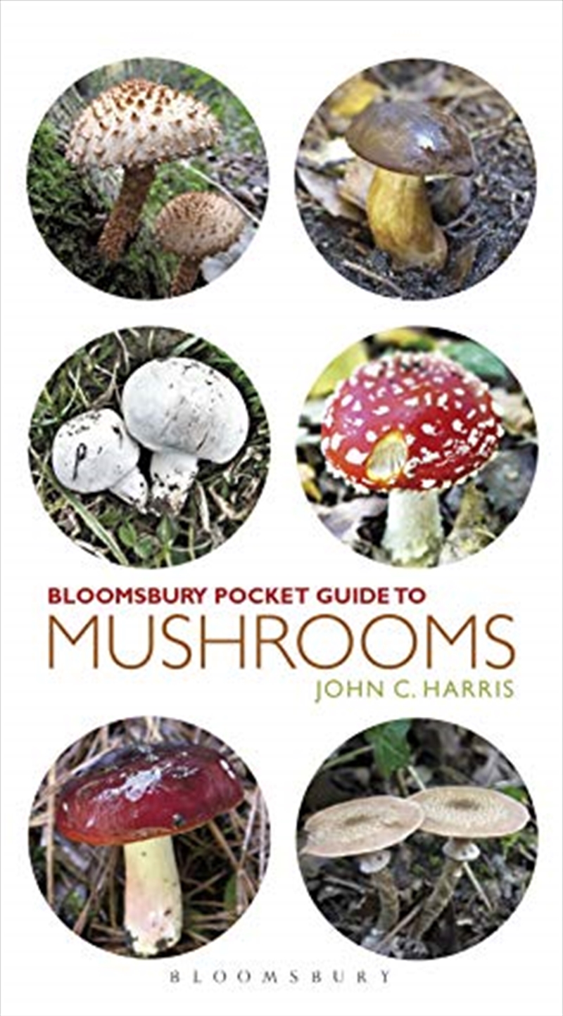Pocket Guide To Mushrooms (pocket Guides)/Product Detail/Recipes, Food & Drink