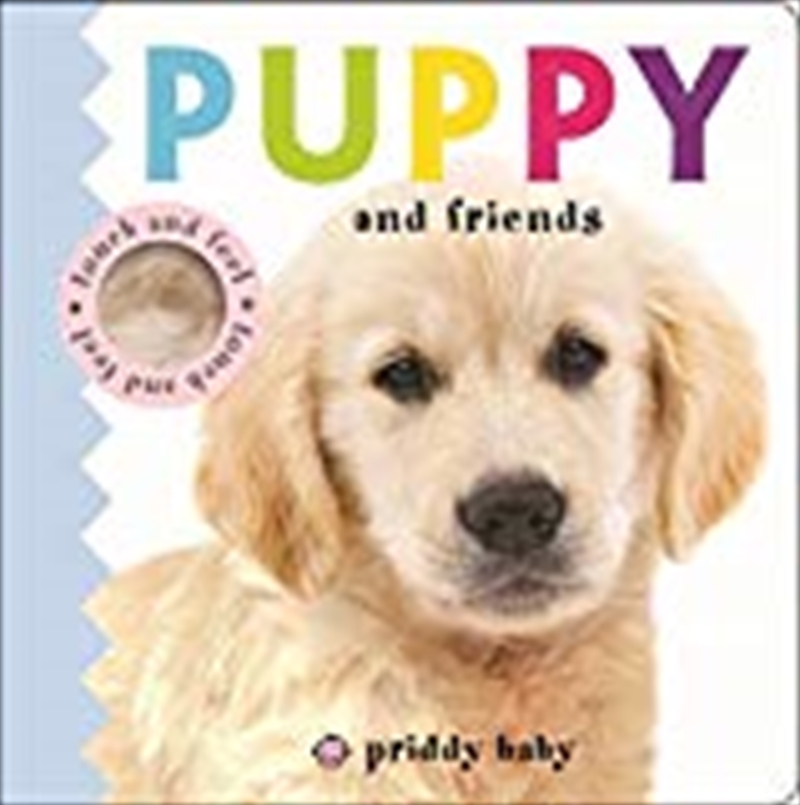Puppy And Friends: Priddy Touch & Feel/Product Detail/Childrens