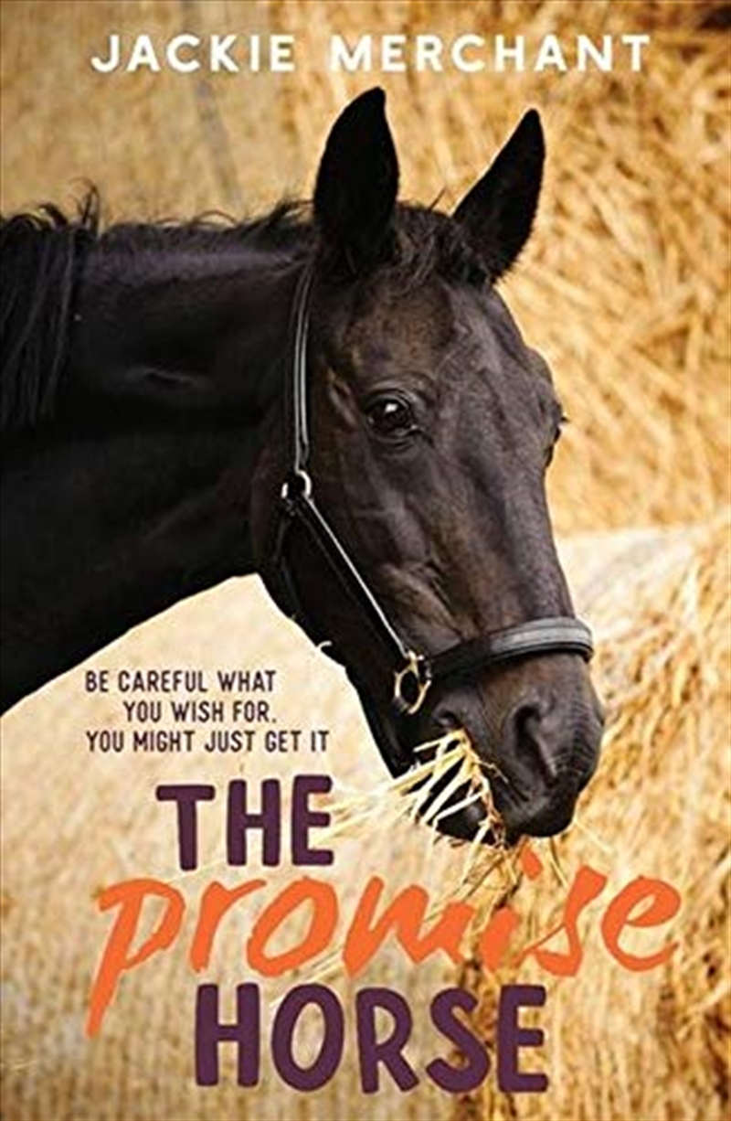 The Promise Horse/Product Detail/Childrens Fiction Books
