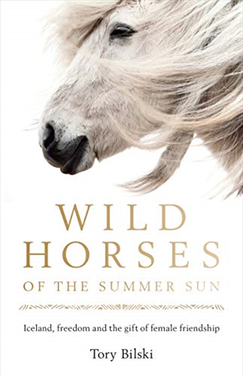 Wild Horses Of The Summer Sun (paperback)/Product Detail/Reading