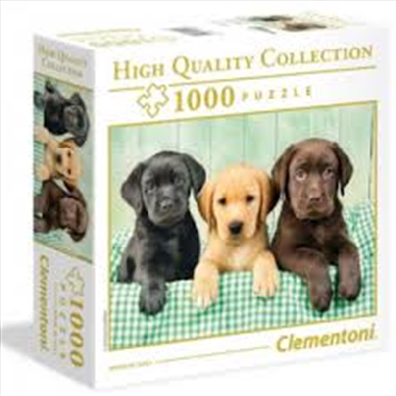 Labrador 1000 Piece Puzzle/Product Detail/Nature and Animals