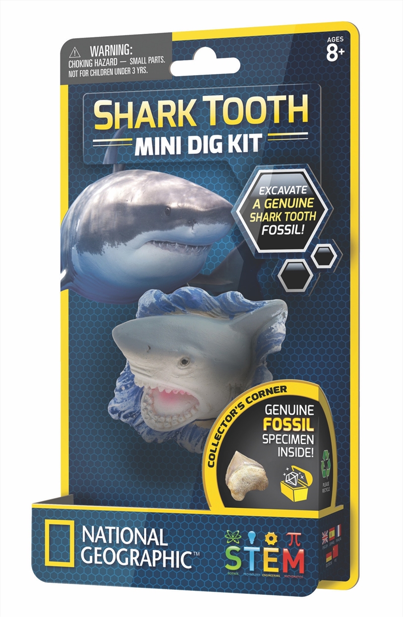 Shark Tooth Mini Dig Kit/Product Detail/Educational