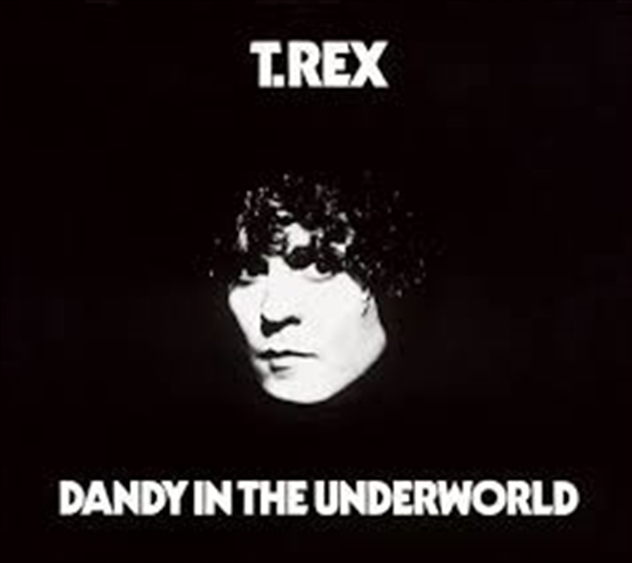 Dandy In The Underworld/Product Detail/Rock