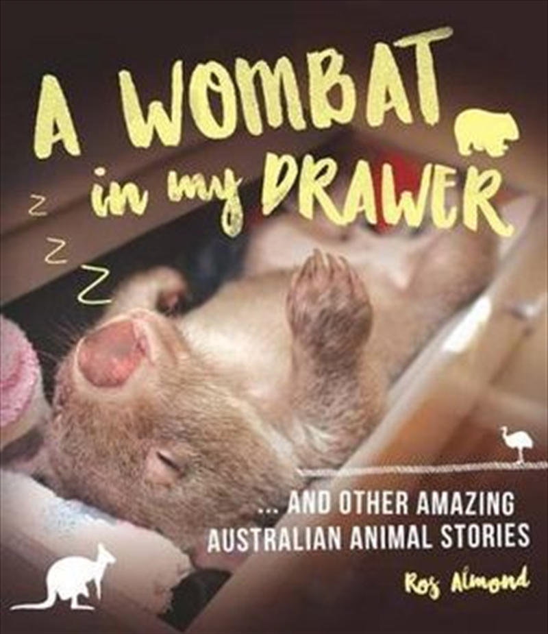 A Wombat In My Drawer/Product Detail/Reading