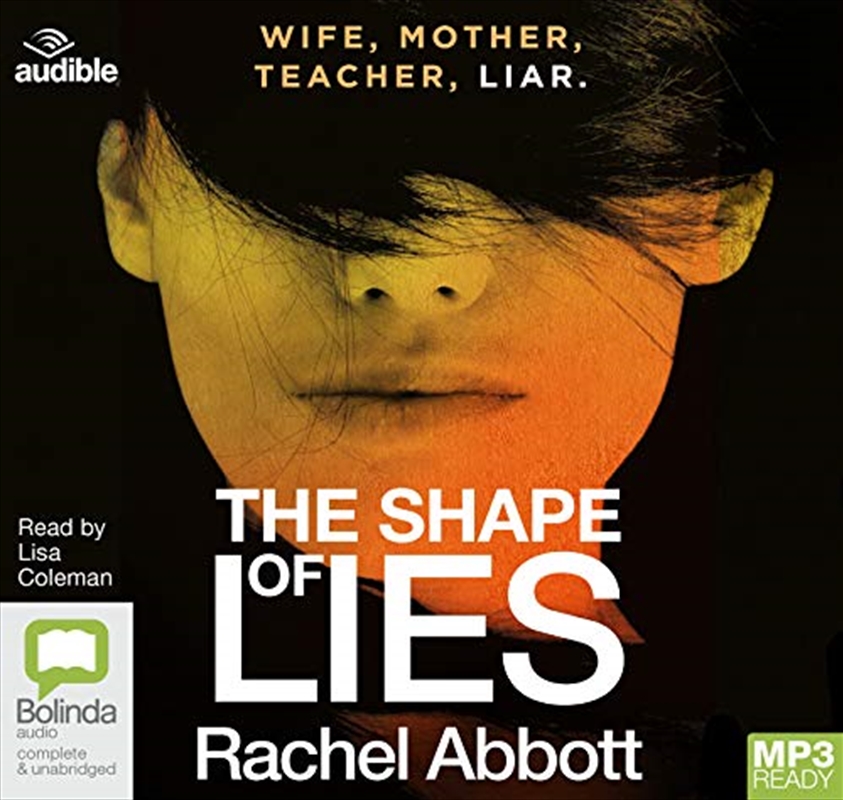 The Shape of Lies/Product Detail/Thrillers & Horror Books