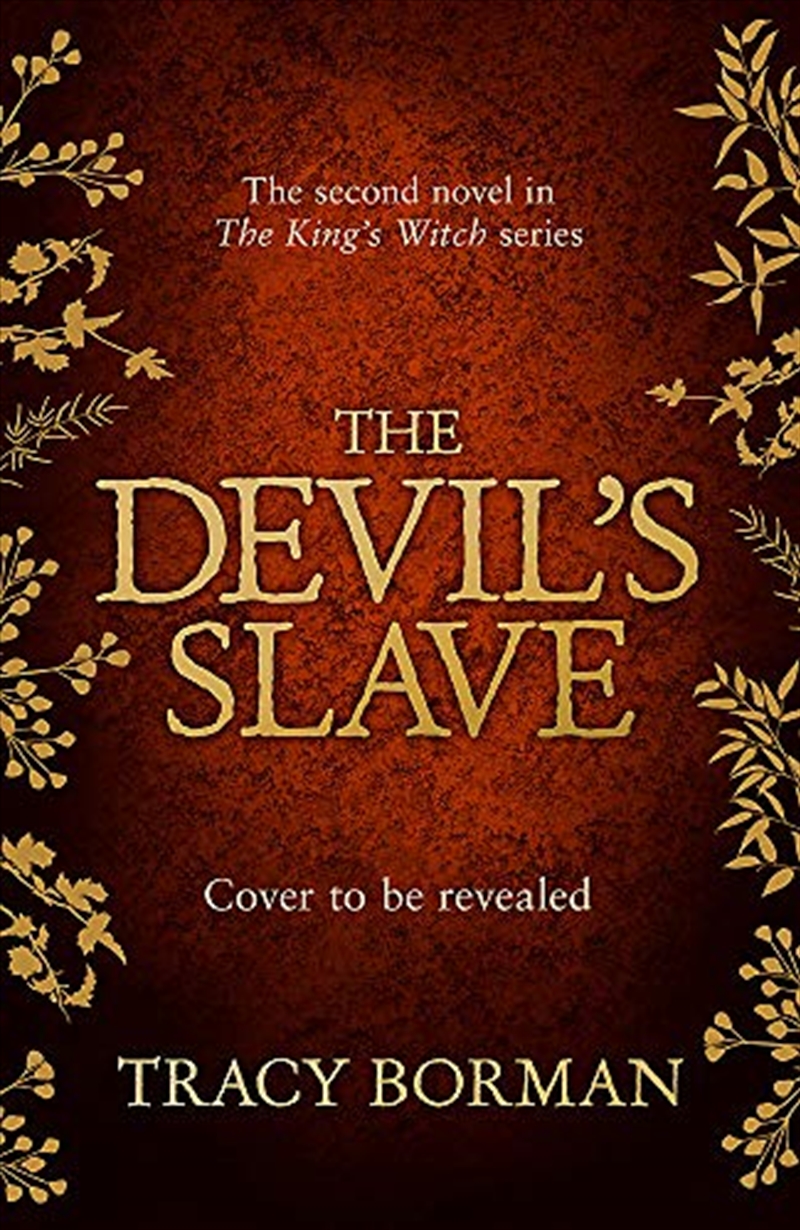 Devil's Slave (paperback)/Product Detail/Reading