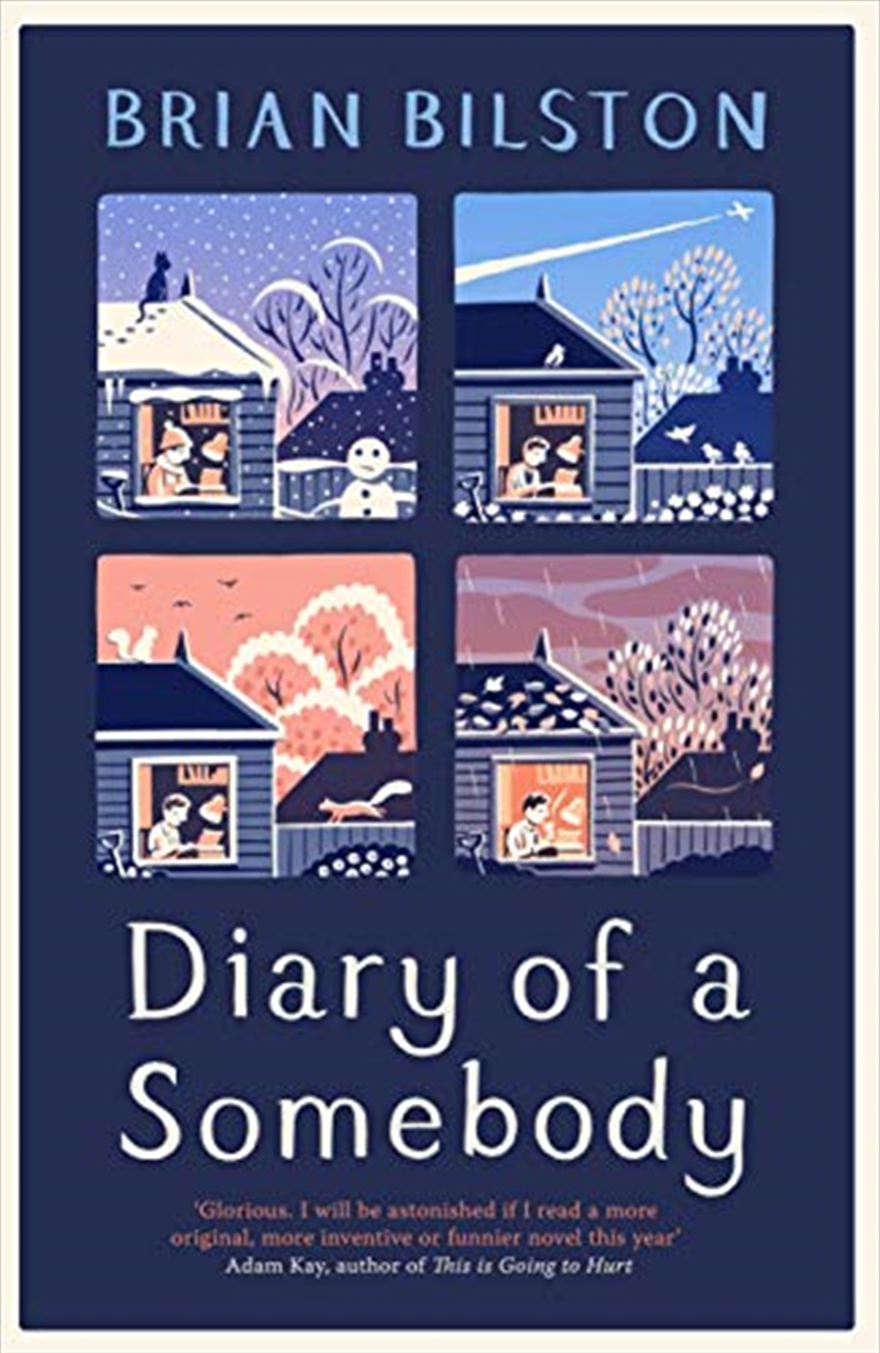 Diary Of A Somebody/Product Detail/General Fiction Books