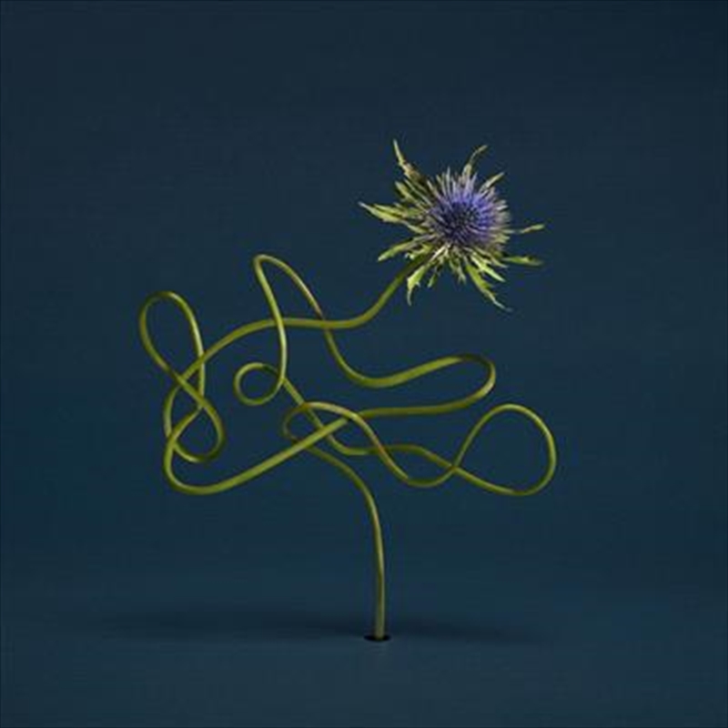 Le Mirage De Zo/Product Detail/World