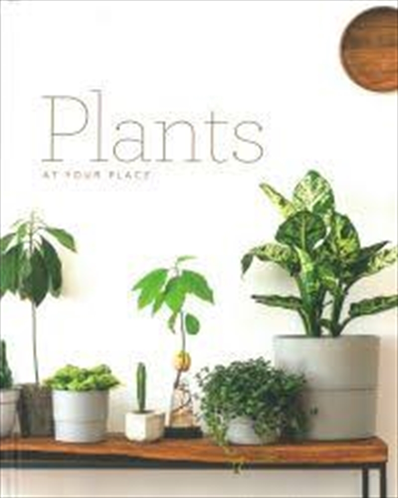 Plants At Your Place Easy Home Style Series/Product Detail/House & Home