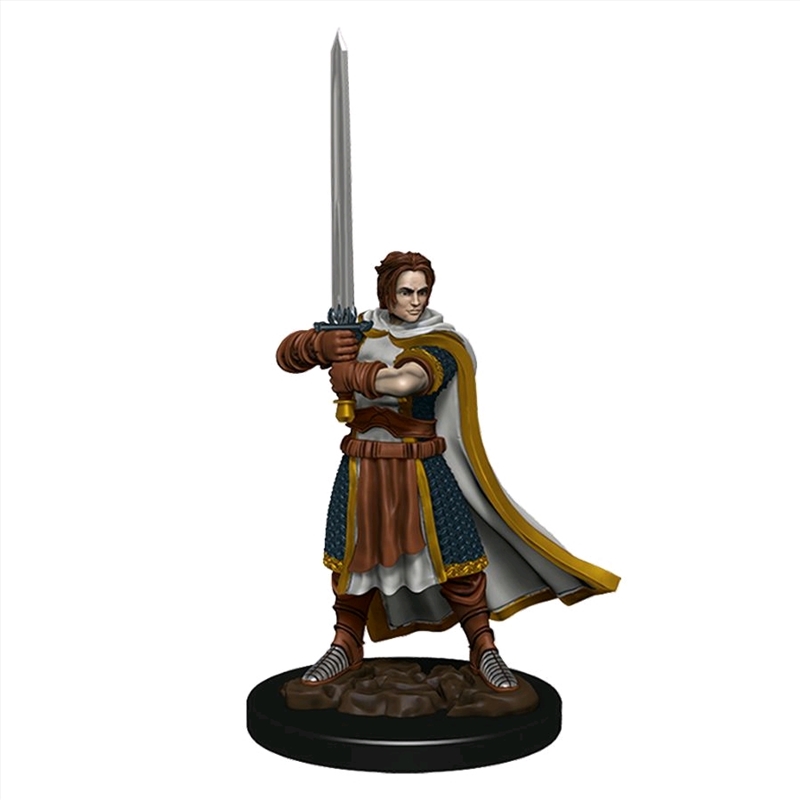 Dungeons & Dragons - Premium Human Fighter Male Miniature/Product Detail/RPG Games