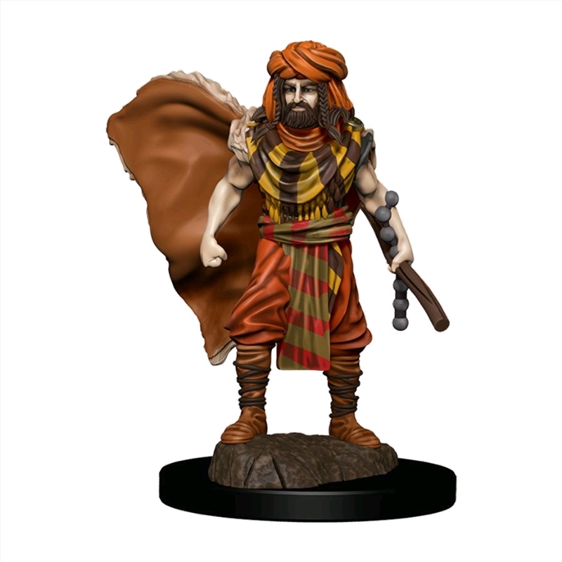 Dungeons & Dragons - Premium Human Druid Male Miniature/Product Detail/RPG Games