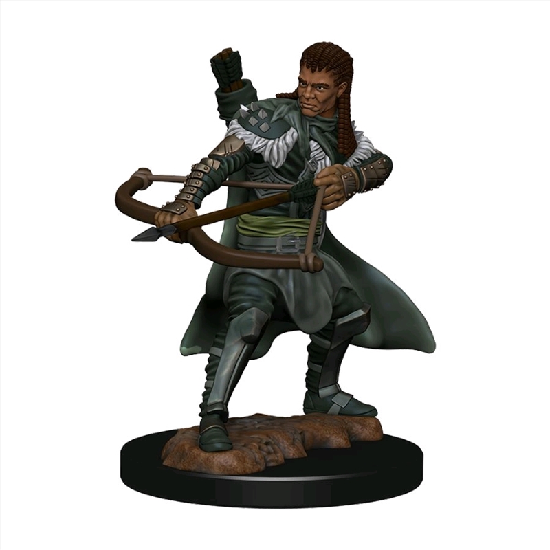 Dungeons & Dragons - Premium Human Ranger Male Miniature/Product Detail/RPG Games