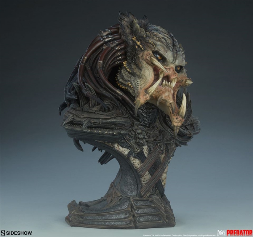 Predator - Barbarian Mythos Legendary Bust/Product Detail/Statues