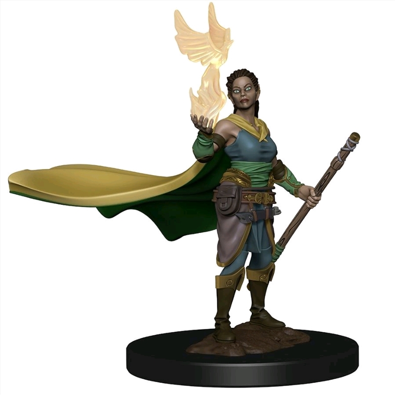 Dungeons & Dragons - Premium Elf Female Druid Miniature/Product Detail/RPG Games