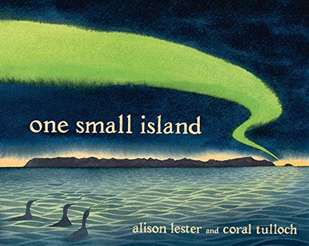 One Small Island/Product Detail/Childrens Fiction Books