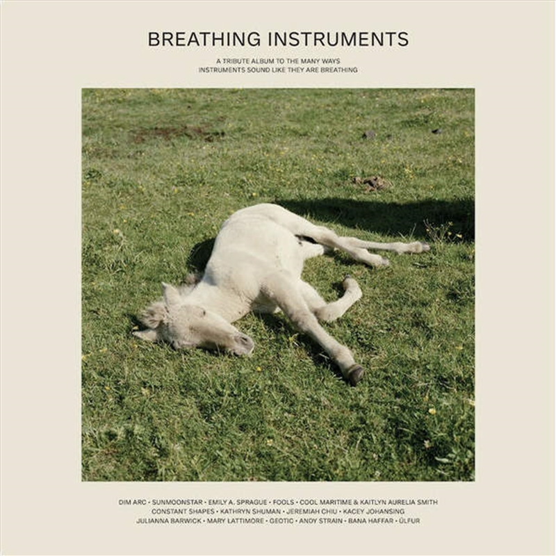Breathing Instruments/Product Detail/Dance
