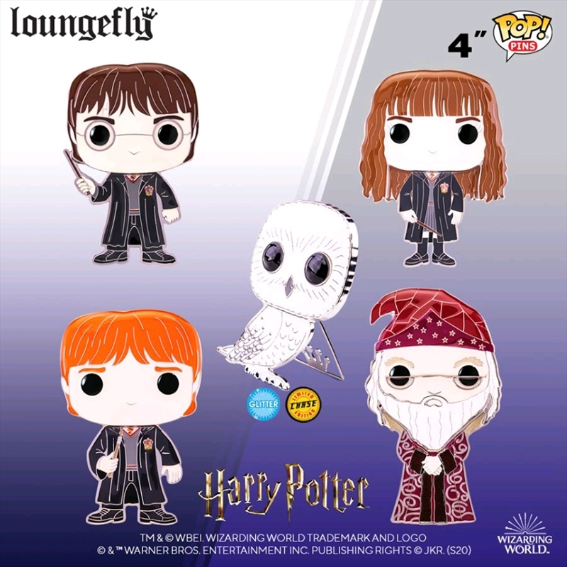 Harry Potter - 4" Pop! Enamel Pin Assortment | Merchandise