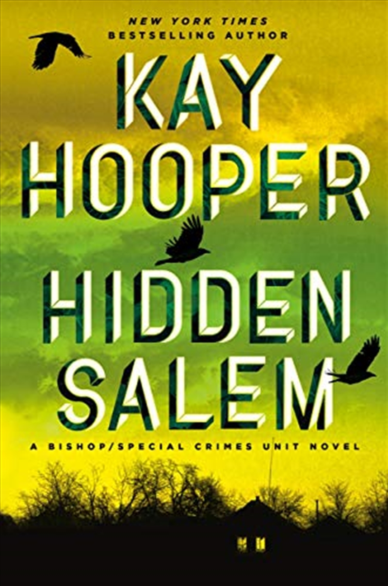 Hidden Salem/Product Detail/Childrens Fiction Books