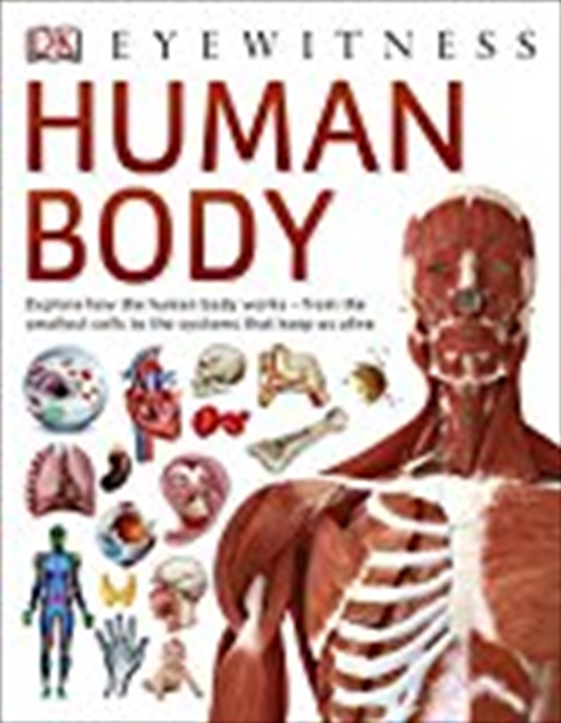 Human Body/Product Detail/Childrens