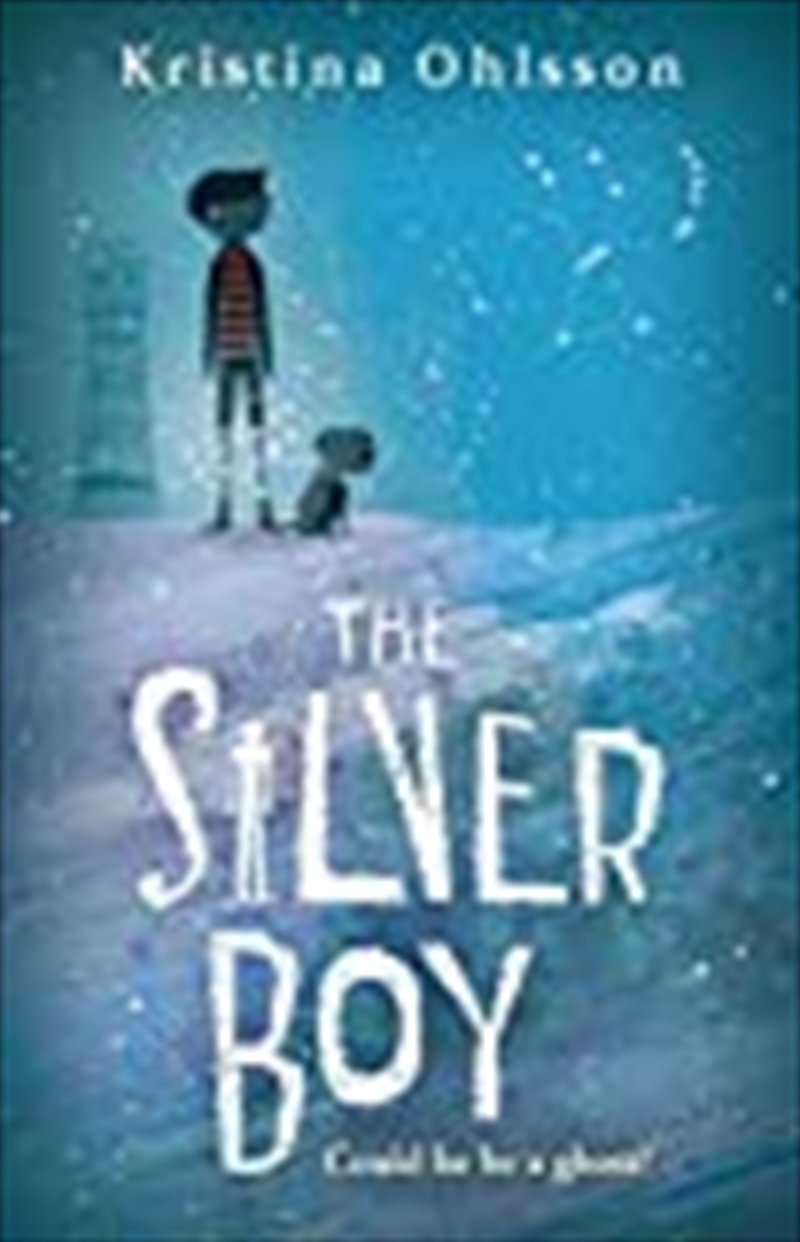The Silver Boy/Product Detail/Childrens Fiction Books