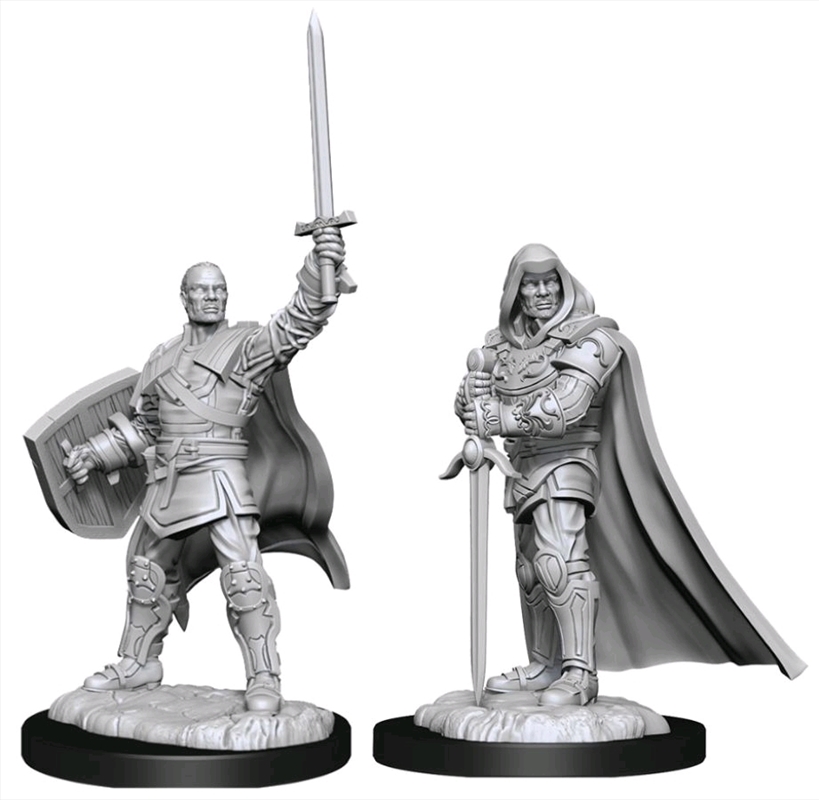 Dungeons & Dragons - Nolzur's Marvelous Unpainted Minis: Human Paladin Male | Games