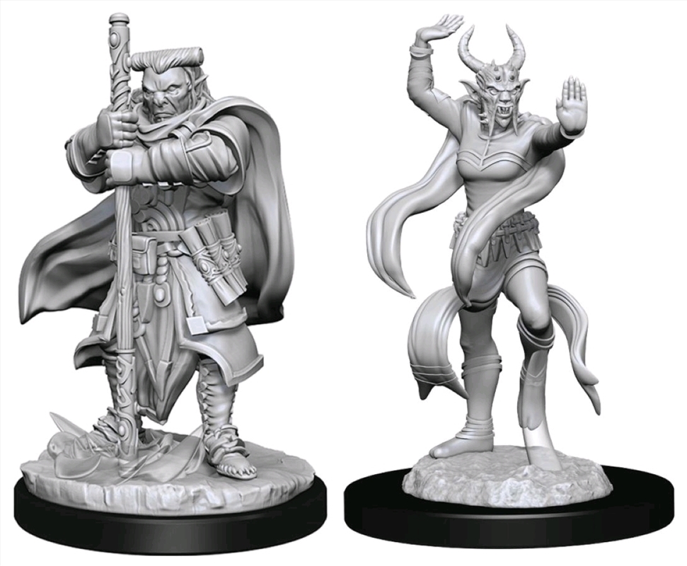 Dungeons & Dragons - Nolzur's Marvelous Unpainted Minis: Hobgoblin Devastator & Iron Shadow/Product Detail/RPG Games